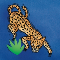 Serval